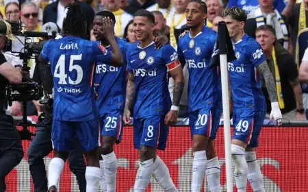 إنزو فيرنانديز نجم تشيلسي يصل مدريد ماذا يخطط لفعله هناك