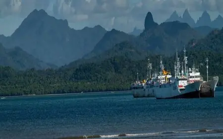 الأمين العام للمنظمة البحرية الدولية يؤكد أن حرية الملاحة خط أحمر لا يقبل التفاوض