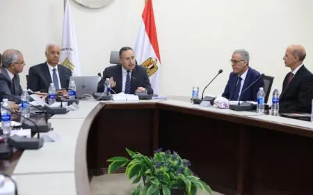 مصر تتألق عالمياً في الاستثمار بمجال التعليم العالي وفقاً لتصريحات قنصوة