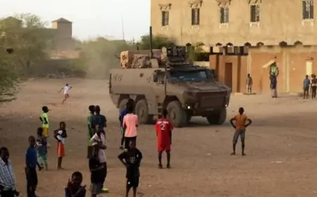 دول الساحل الأفريقي تعبر عن دعمها الكامل لمالي في مواجهة التحديات