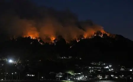 اليابان تحقق تقدمًا كبيرًا في السيطرة على حرائق الغابات وتخفيف الأضرار