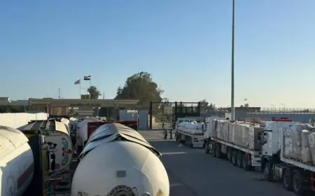 قافلة زاد العزة 184 تصل غزة لتقديم الدعم للفلسطينيين