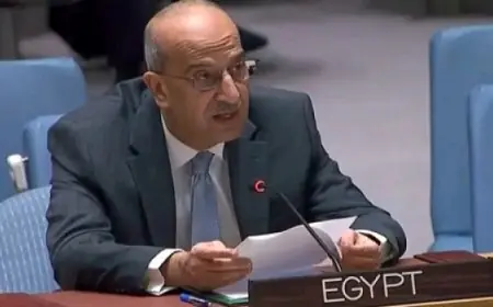 مندوب مصر في مجلس الأمن يؤكد رفضنا القاطع لأي تهديدات تعرقل الملاحة الدولية