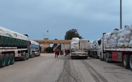 قافلة زاد العزة 184 تصل إلى الفلسطينيين في قطاع غزة لدعمهم وإغاثتهم