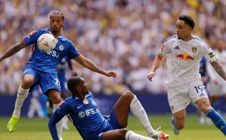 برشلونة يتوجه لمراقبة النجم البرازيلي جواو بيدرو مهاجم تشيلسي