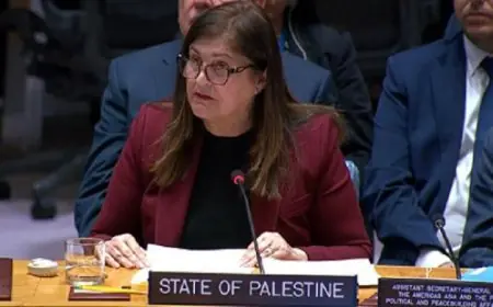 فلسطين تطالب بسرعة اتخاذ إجراءات عاجلة لحل الأزمة الإنسانية في غزة وضمان حماية المدنيين