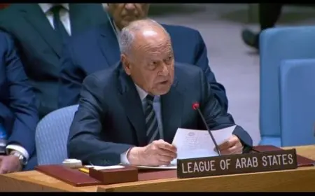 أبو الغيط يؤكد أن الاحتلال الإسرائيلي هو السبب الرئيسي في انعدام الاستقرار بالشرق الأوسط