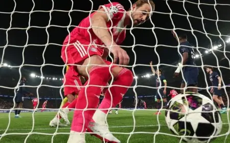 هاري كين ينافس مبابي على لقب هداف دوري أبطال أوروبا