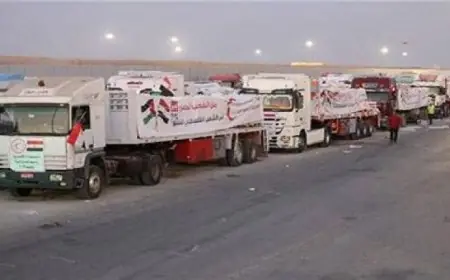 قافلة المساعدات الإنسانية الـ185 تصل إلى قطاع غزة لتعزيز الدعم الإغاثي
