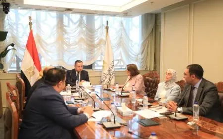 قنصوة يستعرض تقدم الجامعات المصرية في التصنيفات العالمية