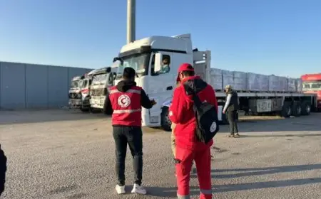 الهلال الأحمر المصري يوزع 104 آلاف سلة غذائية على أهالي غزة من خلال قافلة زاد العزة