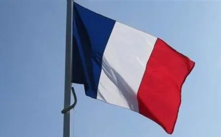 فرنسا تدعو مواطنيها للمغادرة الفورية من مالي حفاظا على سلامتهم