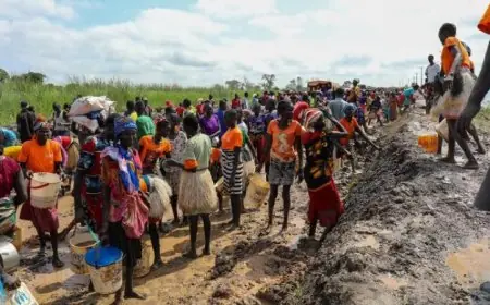 وكالات الأمم المتحدة تحذر 7.8 مليون شخص في جنوب السودان من خطر انعدام الأمن الغذائي