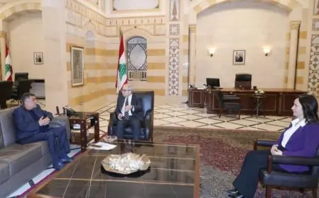 رئيس وزراء لبنان يناقش مستقبل قطاع الطيران مع رئيس شركة طيران الشرق الأوسط