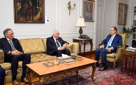 وزير الخارجية يؤكد أهمية تعزيز العلاقات الاقتصادية بين قطاع الأعمال في مصر والولايات المتحدة