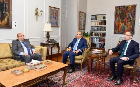 عبد العاطي يناقش مع رئيس مكافحة الهجرة غير الشرعية استراتيجيات الدولة للحد من الظاهرة