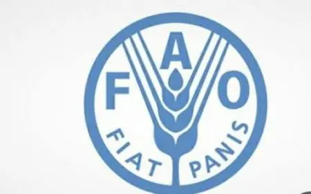 الفاو تعلن عن دعمها الكامل للدول المتضررة من النزاع الإيراني
