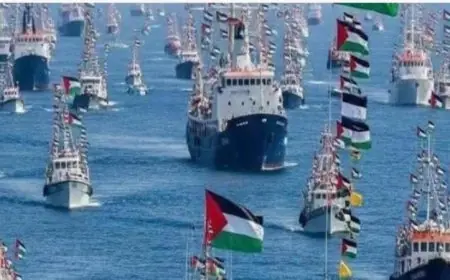 الجيش الإسرائيلي يعلن عن توقف 21 سفينة من 58 في الأسطول المتجه نحو غزة