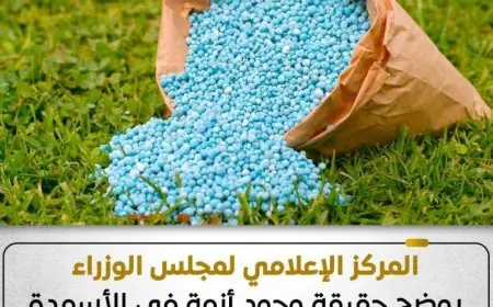 مجلس الوزراء يكشف عن موقف أزمة الأسمدة الزراعية للموسم الصيفي