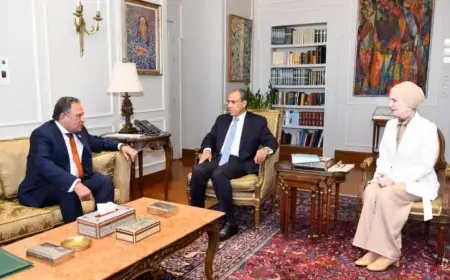 عبد العاطي يؤكد ضرورة تعزيز جهود دعم ثوابت السياسة الخارجية المصرية