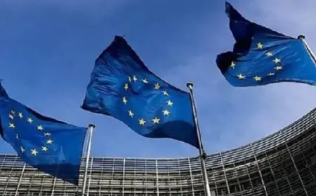 الاتحاد الأوروبي يعلن عن برنامج إغاثة جديد لمساعدة ضحايا اعتداءات المستوطنين