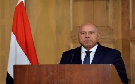 وزير النقل يكشف للرئيس السيسي مجهودات الوزارة لتعزيز صناعة النقل المحلي في مصر