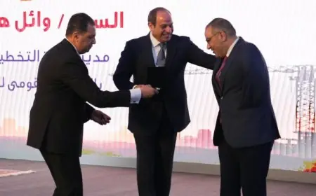 الرئيس السيسي يمنح تكريمات لموظفين متميزين من جميع القطاعات تقديراً لإنجازاتهم