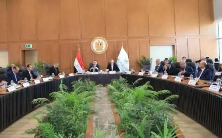 قنصوة يدعو الجامعات والمعاهد إلى الاستعداد التام لامتحانات نهاية العام