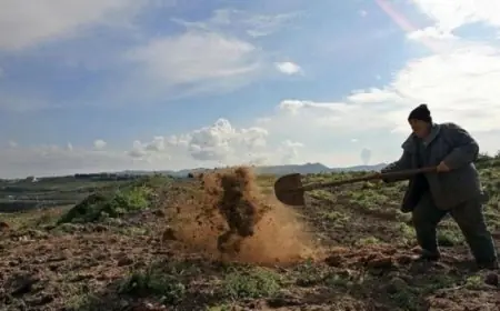 الرئيس السيسى يحتفى بالعاملين المتميزين في قطاعات متعددة تقديرا لجهودهم البارزة