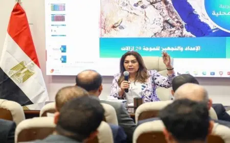 وزيرة التنمية المحلية والبيئة تتابع استعدادات انطلاق الموجة 29 لإزالة التعديات على أملاك الدولة وأراضيها السبت المقبل
