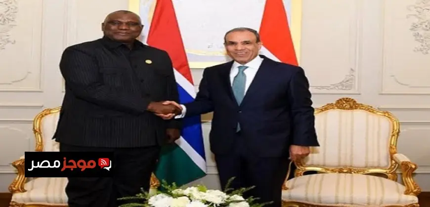 وزير الخارجية يلتقي بنظيره الجامبي لتعزيز التعاون الثنائي وتفعيل التنسيق المشترك