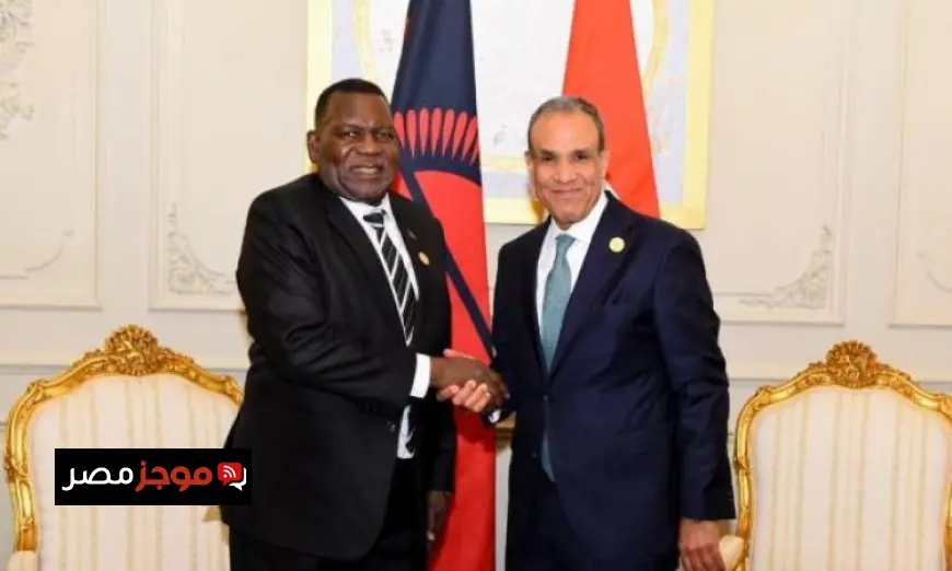 وزير الخارجية يناقش مع نظيره المالاوي تعزيز العلاقات الثنائية بين البلدين