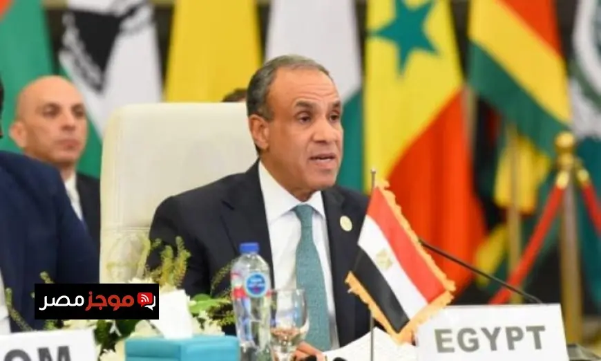 وزير الخارجية يؤكد استمرار الجهود المصرية في خفض التصعيد بلا توقف