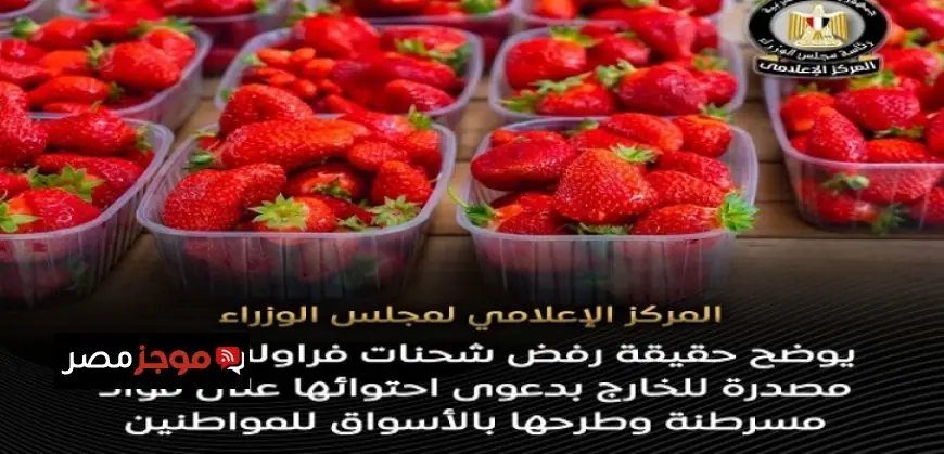 مجلس الوزراء يرد على شائعات رفض شحنات الفراولة ويؤكد جودة المنتجات الزراعية المصرية
