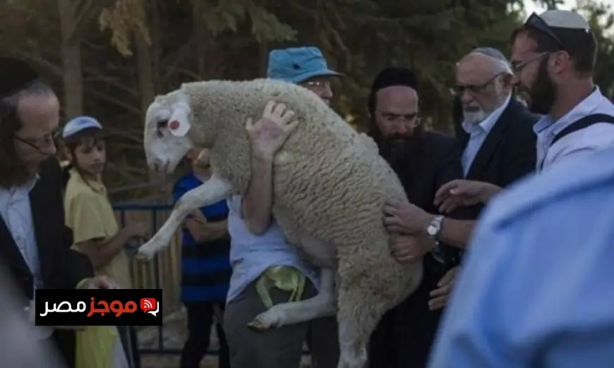 سبعة محاولات لتهريب قرابين إلى المسجد الأقصى خلال الفصح اليهودي 2023