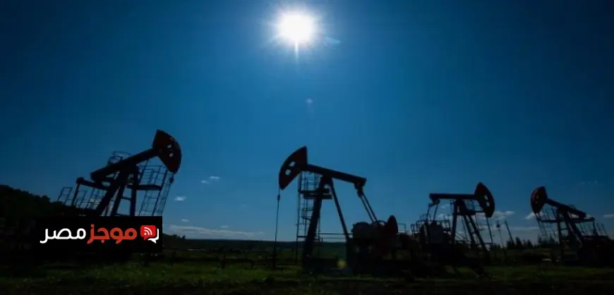 إلغاء كارت الجوازات الورقي للركاب المصريين بمطار القاهرة بدءا من السبت المقبل وفقاً للطيران المدني