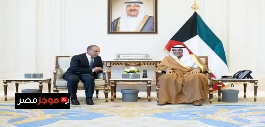وزير الخارجية ينقل رسالة الرئيس السيسى إلى ولى عهد الكويت