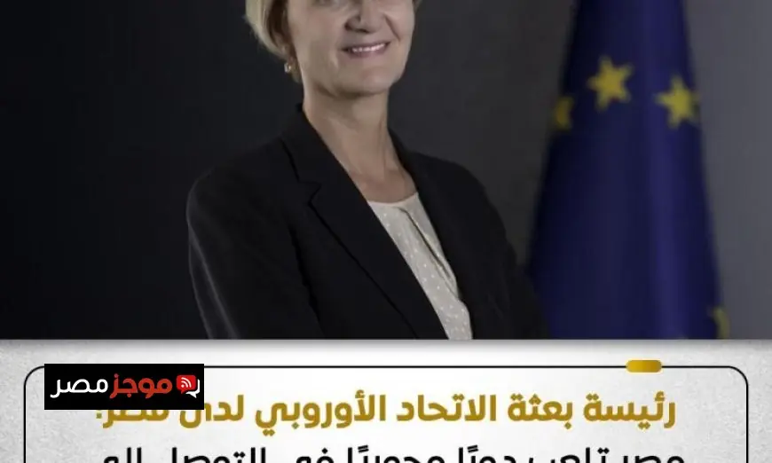 رئيسة بعثة الاتحاد الأوروبي تثني على جهود مصر الرائدة في معالجة الأزمات الإقليمية