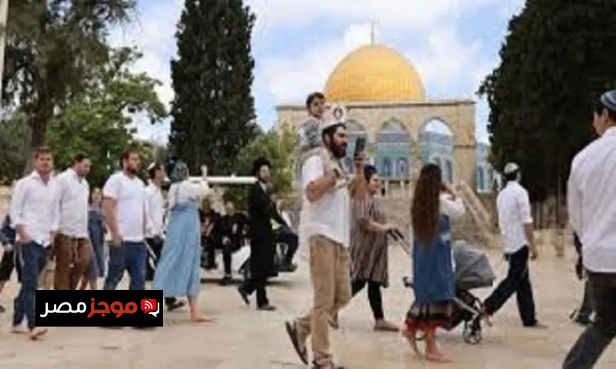 الخارجية الفلسطينية تعبر عن استنكارها لزيادة اقتحامات المستوطنين لحرمة الأقصى