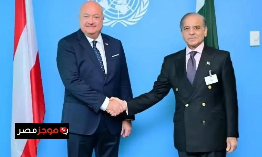 باكستان والنمسا تؤكدان ضرورة التزام الأطراف بوقف إطلاق النار للحفاظ على السلام