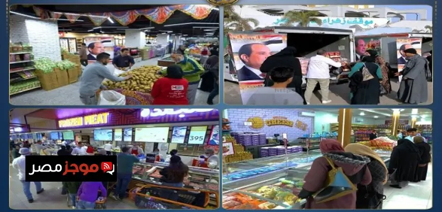 برن تستضيف جولة مشاورات سياسية مهمة بين مصر وسويسرا لتعزيز التعاون الدولي