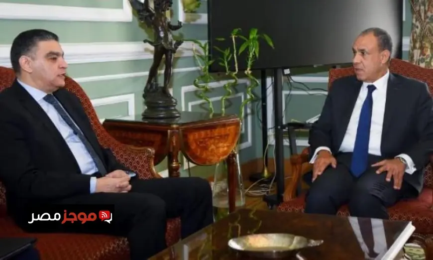 وزير الخارجية يؤكد أن قطاع الدواء هو العمود الفقري لتعزيز التعاون مع الدول الإفريقية