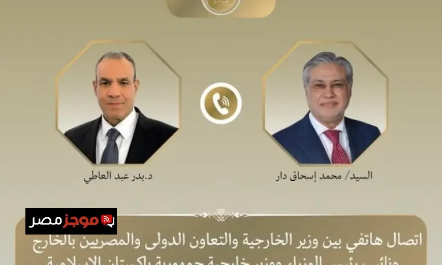وزير الخارجية المصري ونظيره الباكستاني يناقشان التطورات الأخيرة في الوضع الإقليمي