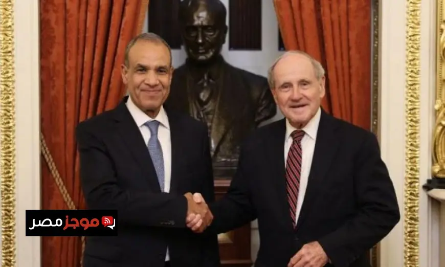 عبد العاطي يكشف عن جهود مصر الفعالة لخفض التصعيد وتحقيق السلام في المنطقة