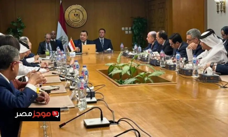 الخارجية تستعرض تطورات المنطقة خلال جلسة إحاطة مع سفراء الدول العربية