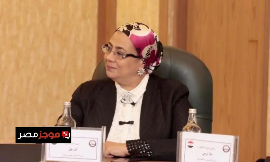 أمل عمار تكشف عن تأثير الغرف الصديقة للطفل في تحقيق العدالة المصرية