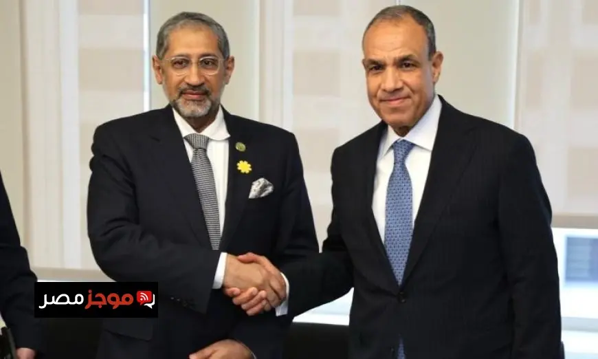 وزير الخارجية يجتمع مع رئيس المصرف العربي لتنمية الاقتصاد في أفريقيا لتعزيز التعاون الاقتصادي