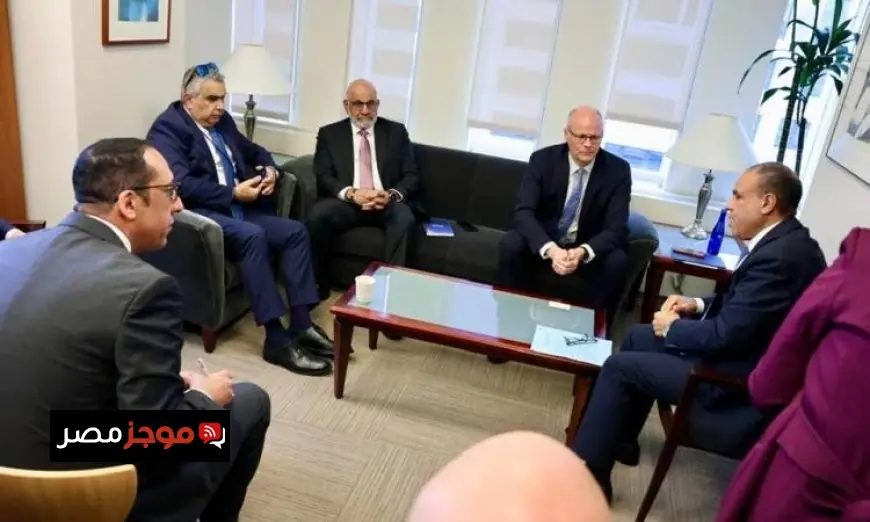 وزير الخارجية يبرز الموقف الثابت لمصر تجاه القضية الفلسطينية