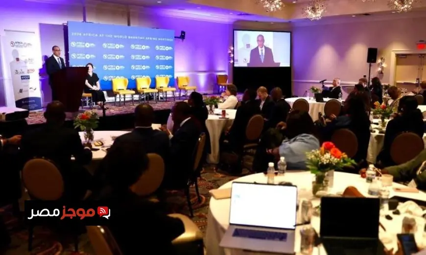 وزير الخارجية يؤكد ضرورة 30 مليار دولار سنوياً لتمويل الأمن المائي في إفريقيا