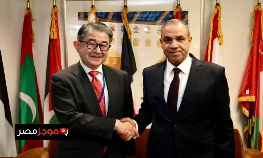 وزير الخارجية يشيد بأهمية الجايكا في تعزيز مشاريع التنمية في مصر